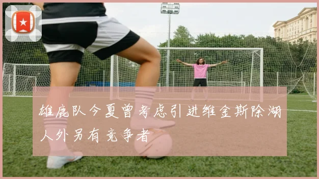 雄鹿队今夏曾考虑引进维金斯除湖人外另有竞争者