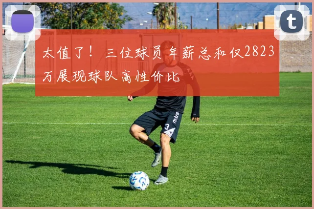 太值了！三位球员年薪总和仅2823万展现球队高性价比