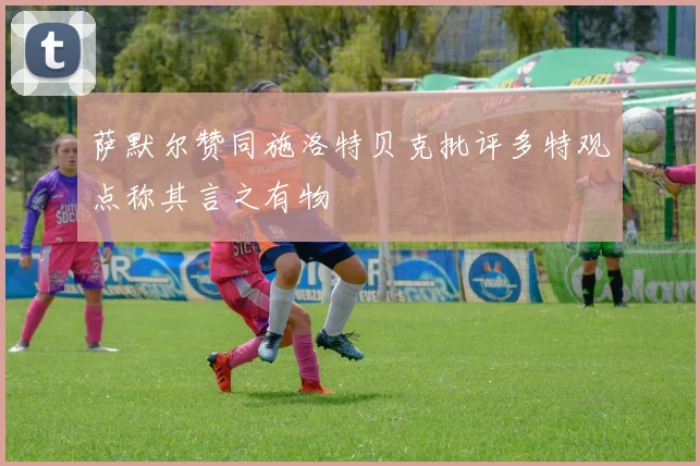 萨默尔赞同施洛特贝克批评多特观点称其言之有物