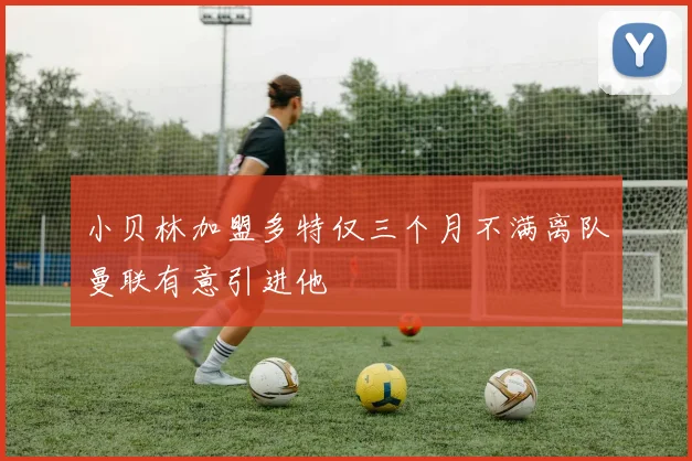 小贝林加盟多特仅三个月不满离队曼联有意引进他